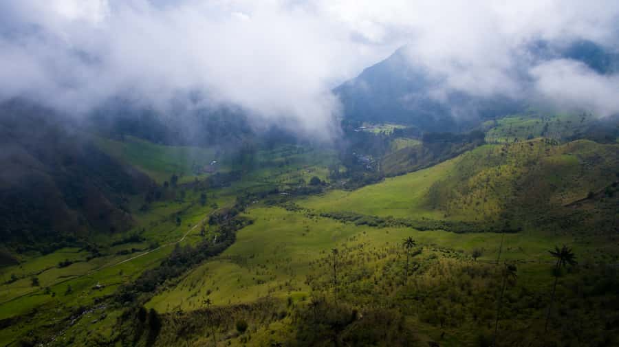 Salento/Pereira: Cocora Valley & Salento Hiking Private Tour - Miradors, mist, and the best photo stops