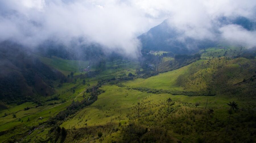 Salento/Pereira: Cocora Valley & Salento Hiking Private Tour - Who should book this Cocora Valley outing?