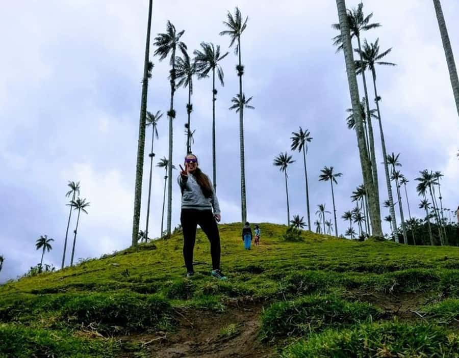 Salento/Pereira: Cocora Valley & Salento Hiking Private Tour - The six-hour route, from pickup to valley trail