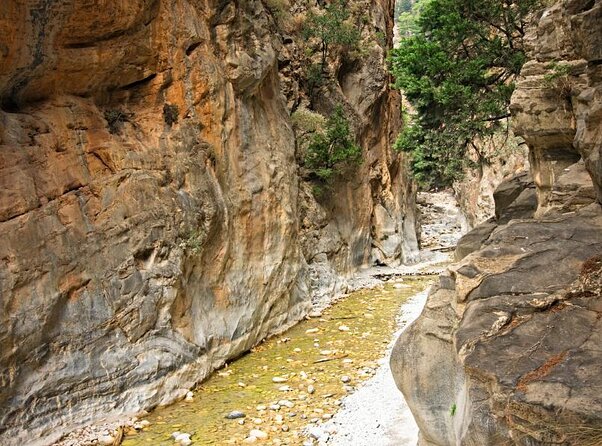 Samaria Gorge Hiking from Chania with Professional Hiking Guide - Water, food, and bathroom planning