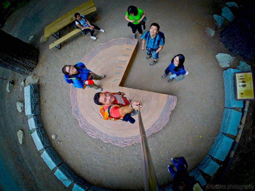 San Francisco: Day Trip to Yosemite with Giant Sequoias Hike - Why this day trip works from San Francisco