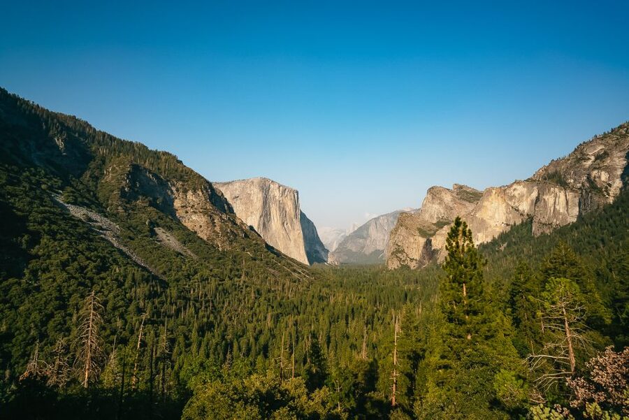 San Francisco: Day Trip to Yosemite with Giant Sequoias Hike - Early pickup and the long road east