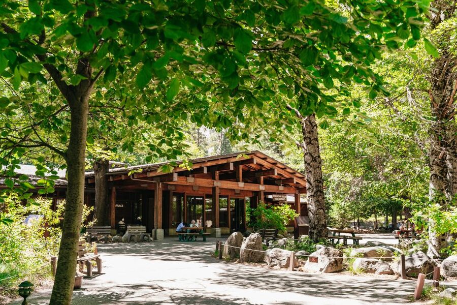 San Francisco: Yosemite National Park & Giant Sequoias Hike - Key points to know before booking