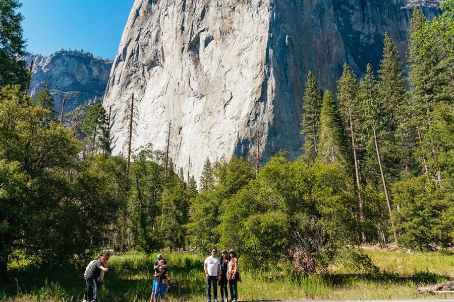 San Francisco: Yosemite National Park & Giant Sequoias Hike - Two hours in Yosemite Valley