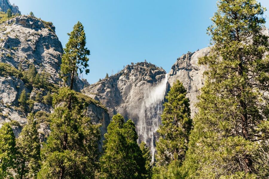 San Francisco: Yosemite National Park & Giant Sequoias Hike - Walking among the Giant Sequoias