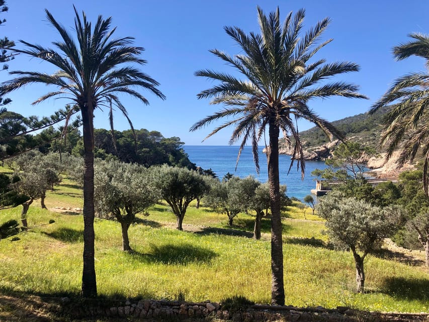 Sant Elm: Guided kayak tour to the Island Dragonera & Hiking - What to bring for a smoother outing