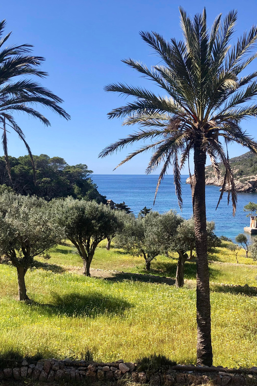 Sant Elm: Guided kayak tour to the Island Dragonera & Hiking - Entering Sa Dragonera Natural Park