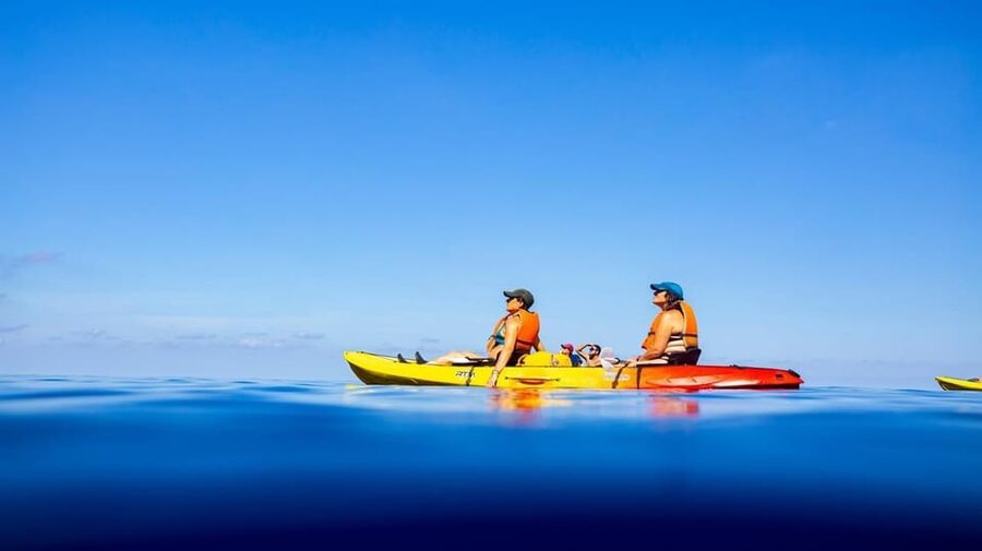Sant Elm: Guided kayak tour to the Island Dragonera & Hiking - Who should book this experience
