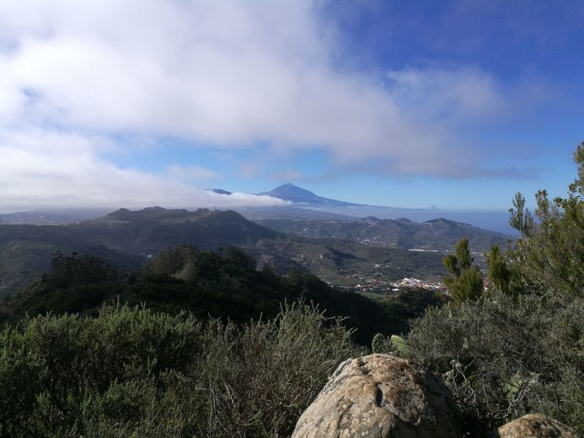 Santa Cruz de Tenerife: 2-Hour Hiking Tour in Anaga Forest - Entering Tenerife’s oldest natural world
