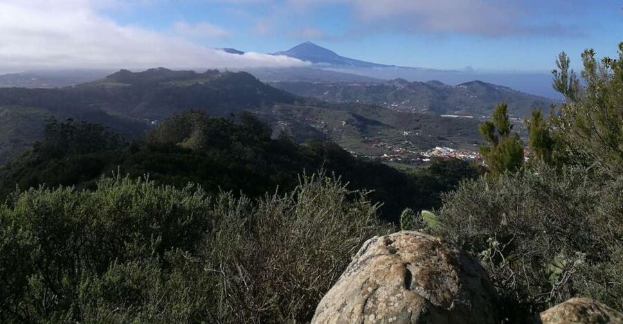 Santa Cruz de Tenerife: 2-Hour Hiking Tour in Anaga Forest - What Ángel adds to the walk