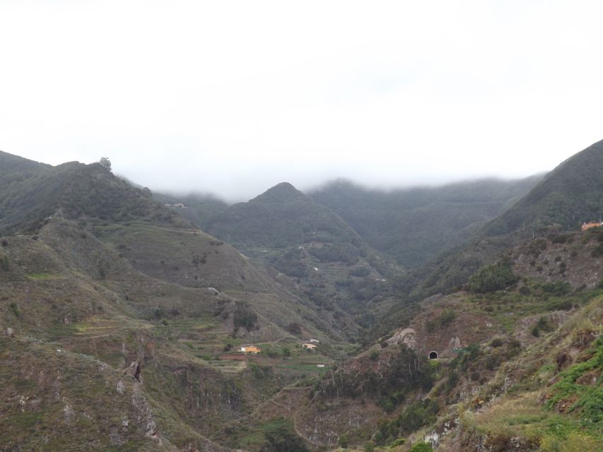 Santa Cruz de Tenerife: 2-Hour Hiking Tour in Anaga Forest - A gentle route for first-time hikers