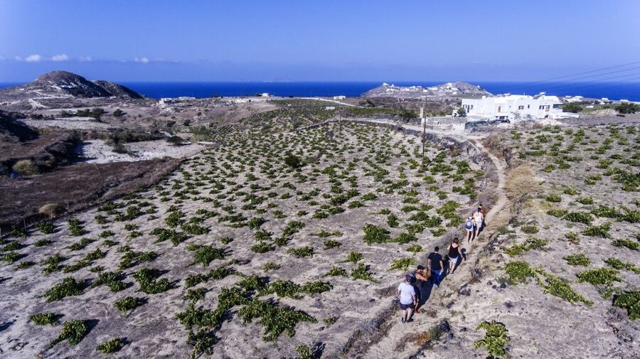Santorini: Cooking Class and Easy Hike - Should you book this Akrotiri hike and cooking class?