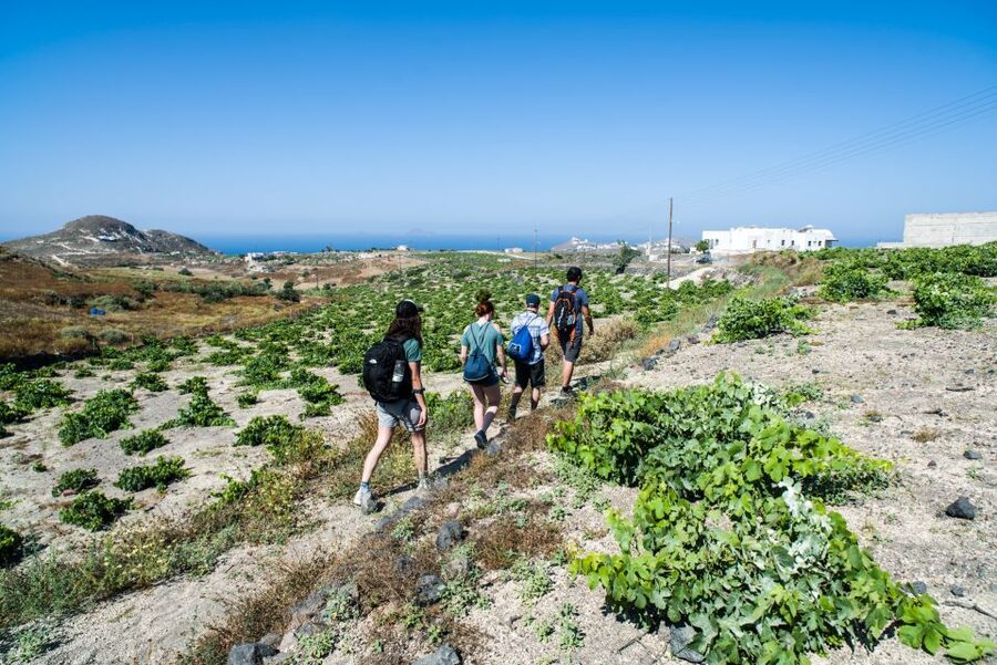 Santorini: Cooking Class and Easy Hike - Meeting the local chef and cooking lunch