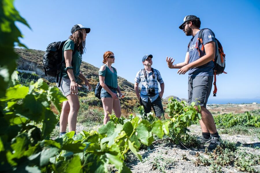 Santorini: Cooking Class and Easy Hike - Is $182 a fair price?