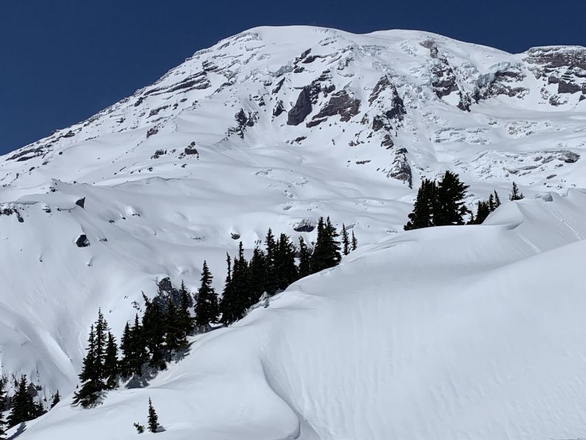 Seattle: Mt. Rainier Park Guided Full-Day Tour - Key points at a glance