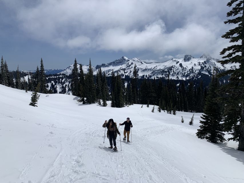Seattle: Mt. Rainier Park Guided Full-Day Tour - Old-growth forest, waterfalls, and river views