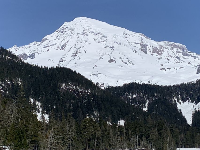 Seattle: Mt. Rainier Park Guided Full-Day Tour - How guides shape the day