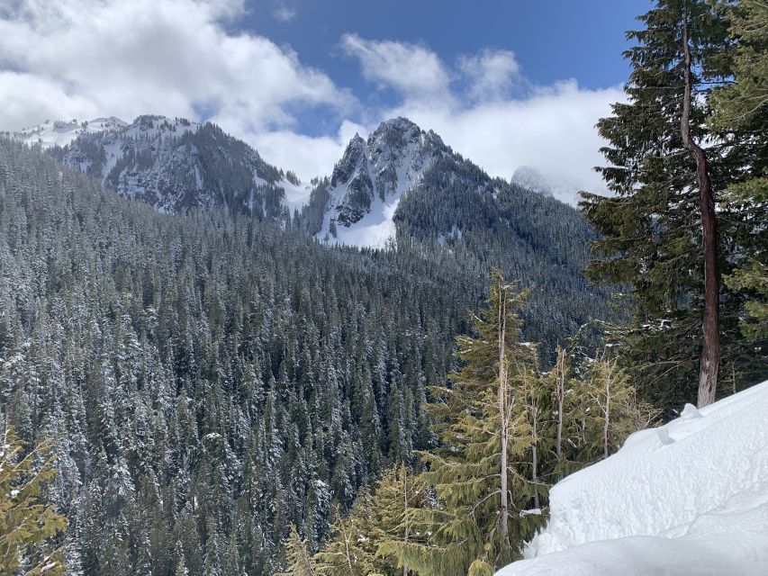 Seattle: Mt. Rainier Park Guided Full-Day Tour - Winter, spring, and summer differences