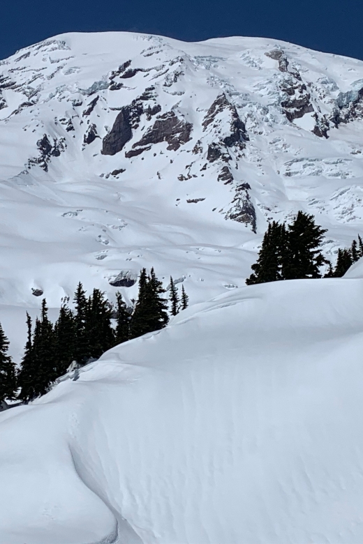 Seattle: Mt. Rainier Park Guided Full-Day Tour - Food, comfort, and what to pack