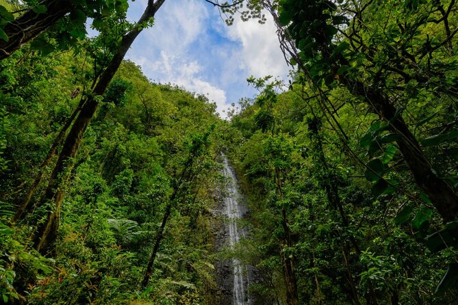 Self guided Hike Trail to Nature Walk & Waterfall - Reaching the 150-foot Manoa Falls
