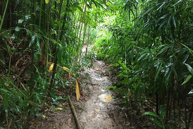Self guided Hike Trail to Nature Walk & Waterfall - The extra stop at Puʻu ʻUalakaʻi State Park