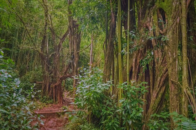 Self guided Hike Trail to Nature Walk & Waterfall - How difficult is the trail?