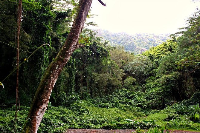 Self guided Hike Trail to Nature Walk & Waterfall - What you are paying for at $79