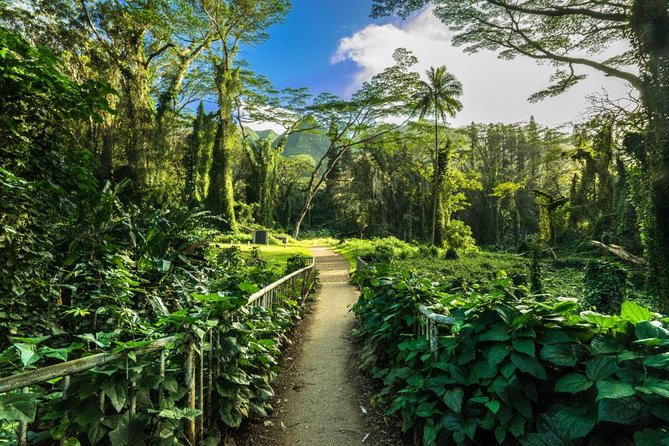 Self Guided Hike Trail to Nature Walk & Waterfall - The ride from Waikiki helps with a short Honolulu visit