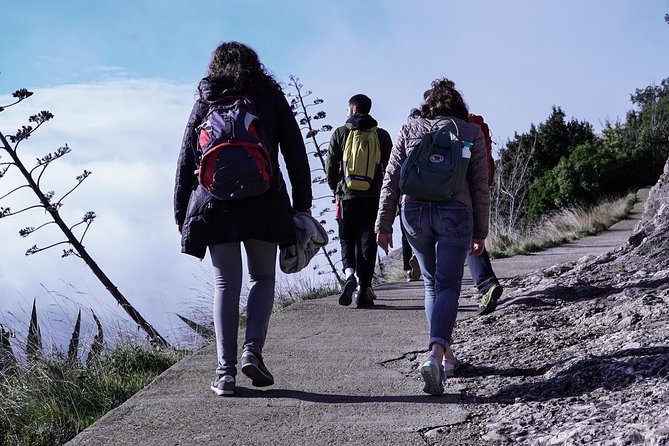 Semi-Private Montserrat Monastery & Hiking Experience - Returning to Barcelona by van