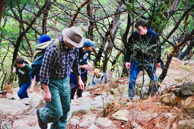 Seoul Mountain Hike: Temples, Folklore & Traditional Meal - Lunch at a Korean mountain restaurant