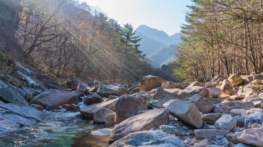 Seoul: Mt Seorak + Naksansa Temple or Nami Island Group Tour - Choosing your route at Seoraksan National Park