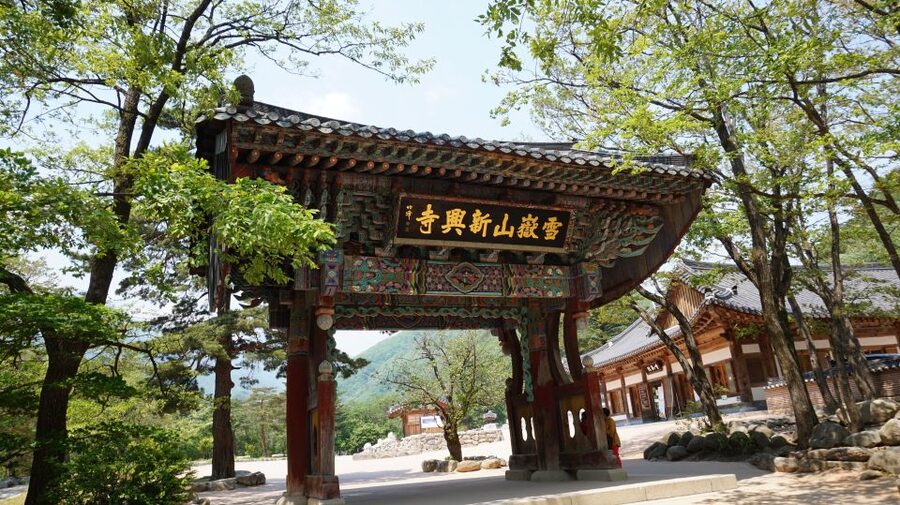 Seoul: Mt Seorak + Naksansa Temple or Nami Island Group Tour - Who should book this experience