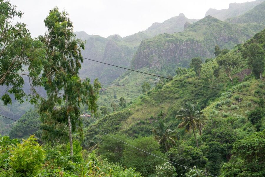 Serra Malagueta Natural Park: Hike to Gongon Valley & Lunch - From Praia to the high slopes of Serra Malagueta
