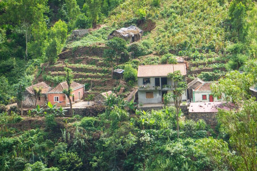 Serra Malagueta Natural Park: Hike to Gongon Valley & Lunch - What the $106 price really covers
