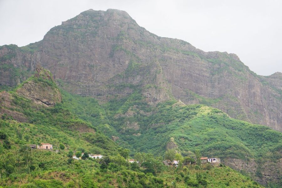 Serra Malagueta Natural Park: Hike to Gongon Valley & Lunch - Plants, birds, and possible monkey sightings