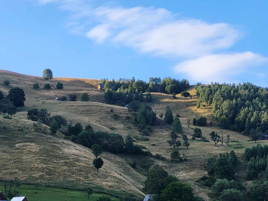 Sibiu: Cindrel Mountains Hike with Traditional Brunch - Key points before you book