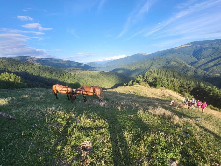 Sibiu: Cindrel Mountains Hike with Traditional Brunch - What the $68 price really covers