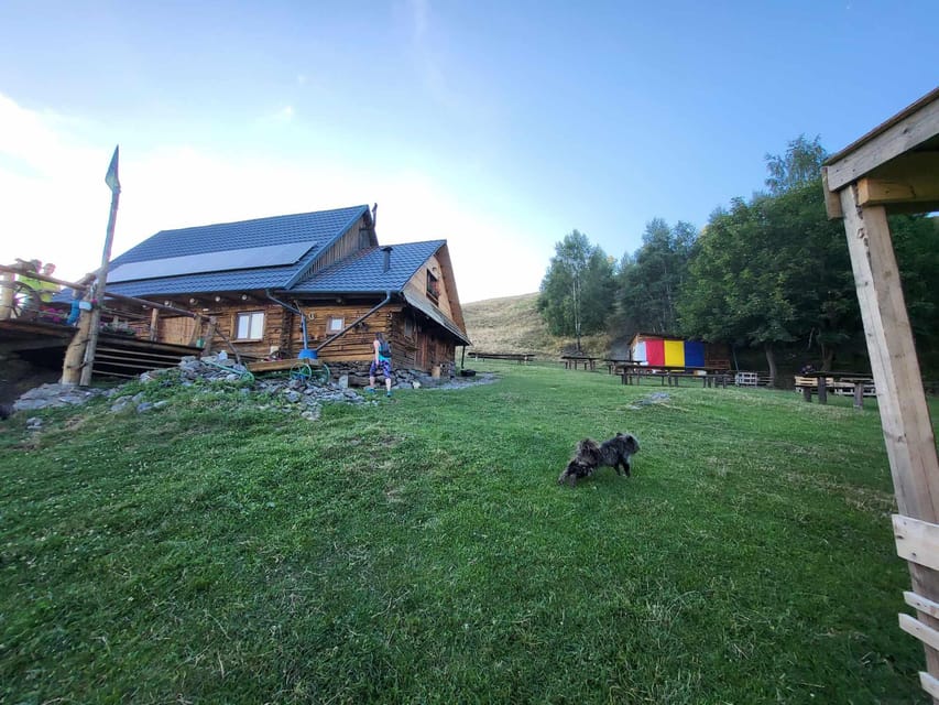 Sibiu: Cindrel Mountains Hike with Traditional Brunch - Timing, languages, and practical preparation