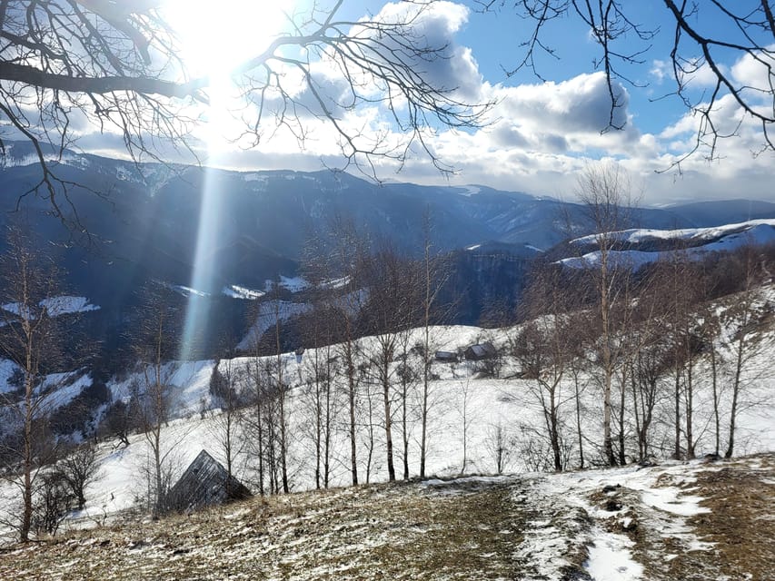 Sibiu: Cindrel Mountains Hike with Traditional Brunch - Is the Cindrel Mountains hike worth booking?
