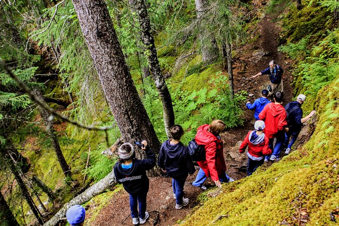 Skagway Shore Excursion Chilkoot Trail Hike and Float Tour - Weather, clothing, and physical demands