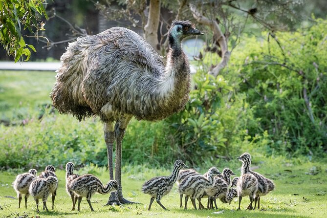 Small-Group Grampians Great Wildlife Escape Day Trip with Hiking - Halls Gap Valley opens the park