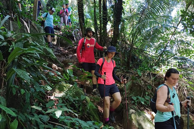 Small Group Hike to Saco Bravo Waterfall - Two hours through the Atlantic Forest