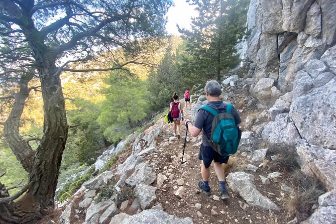 Small Group Hiking on Mount Akramitis in Rhodes - Through the pine and cypress woods