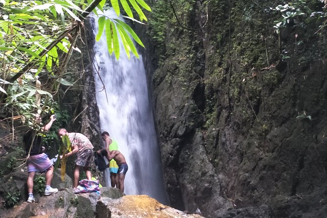 Small-Group Jungle Hiking Excursion in Khao Phra Teaw Park - At a glance