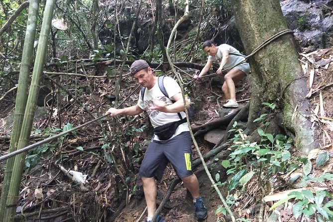 Small-Group Jungle Hiking Excursion in Khao Phra Teaw Park - Why this corner of Phuket is worth your morning
