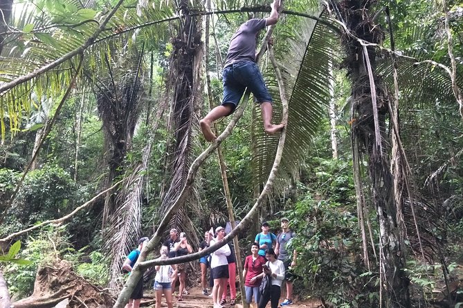 Small-Group Jungle Hiking Excursion in Khao Phra Teaw Park - What wildlife you may and may not see