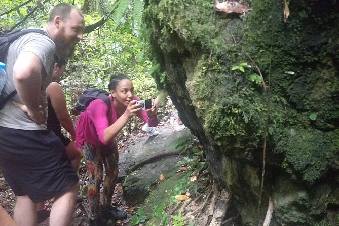 Small-Group Jungle Hiking Excursion in Khao Phra Teaw Park - Swimming beneath the waterfalls