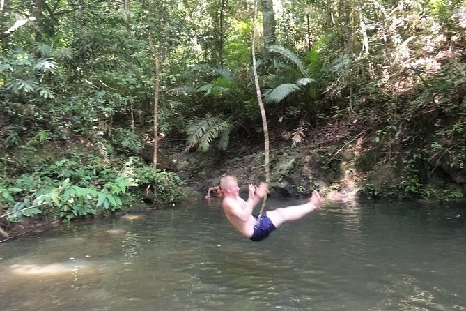 Small-Group Jungle Hiking Excursion in Khao Phra Teaw Park - Lunch at a local Thai restaurant