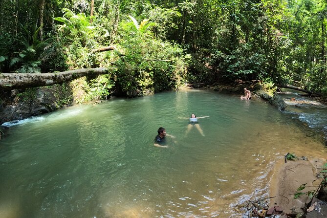 Small-Group Jungle Hiking Excursion in Khao Phra Teaw Park - Fitness, footwear, and what to pack