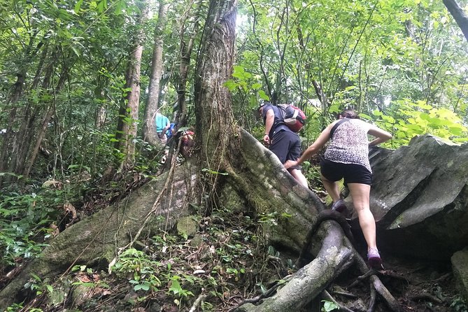Small-Group Jungle Hiking Excursion in Khao Phra Teaw Park - The rocky trail through bamboo and palms